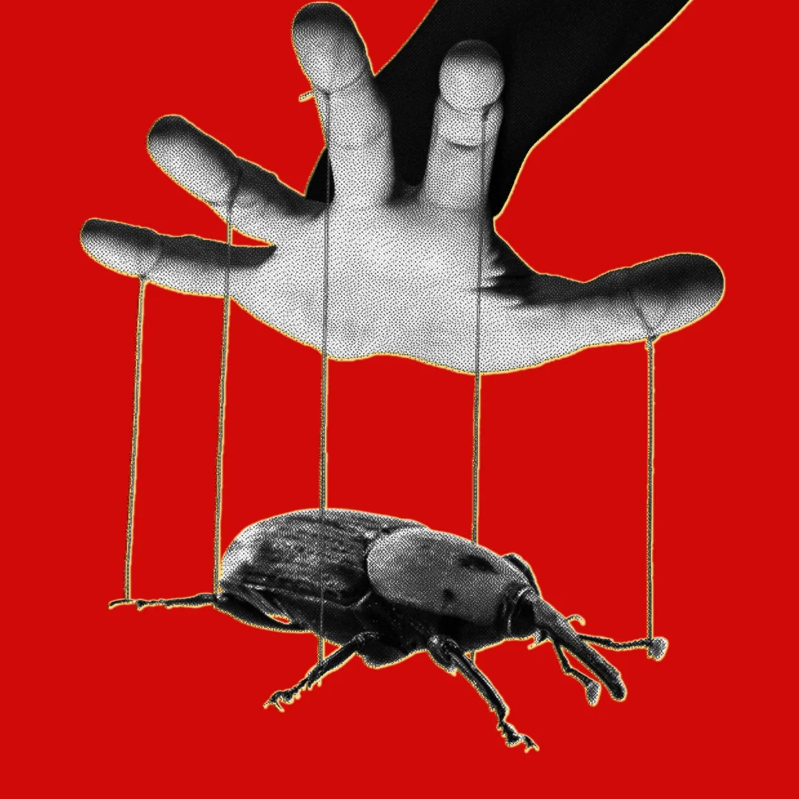 Kernelpanic the php meltdown shows how ai makes bugs more exploitable
